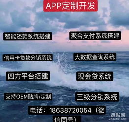 刷臉支付APP系統與票務代理服務的融合開發